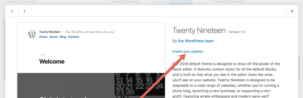 Wordpress Theme Auto Update