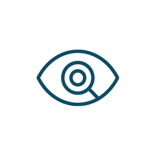 Site Audit Icon
